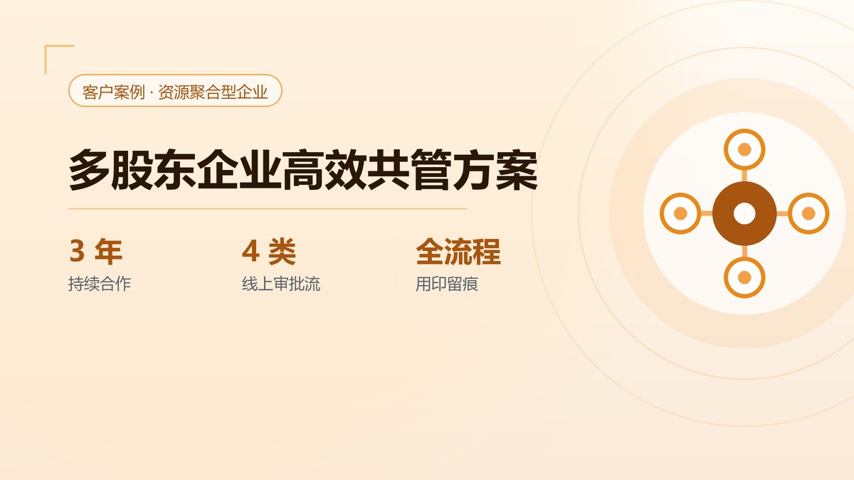 某多股东联合企业案例：多股东企业高效共管方案