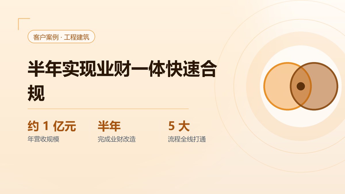 某智能路灯工程公司案例：半年实现业财一体快速合规